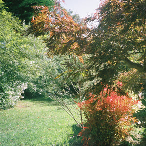 Rollei zoom X70
