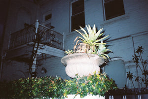 Olympus Trip XB3