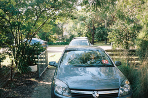 Minolta Zoom 60